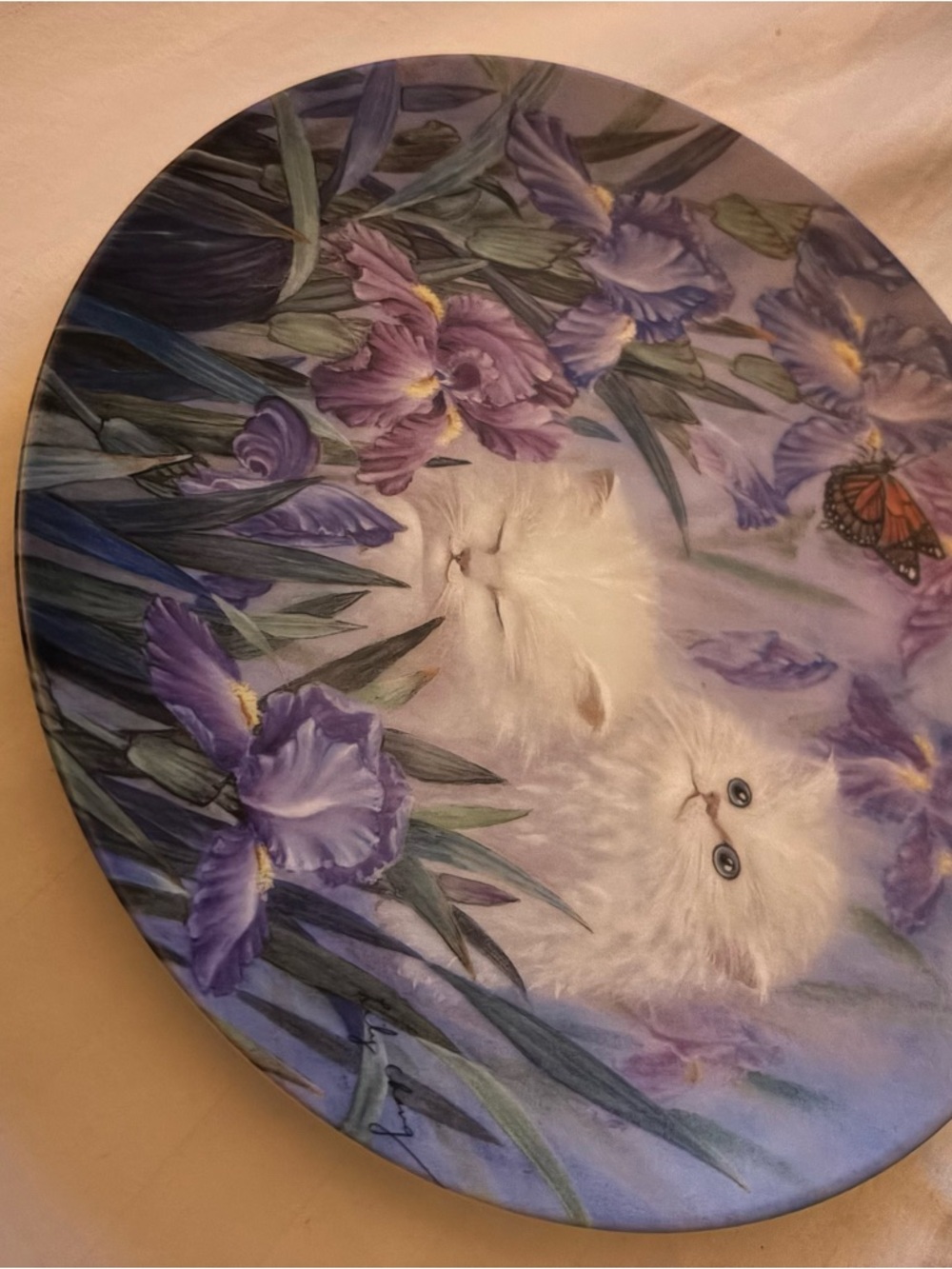 Garden Discovery Decorative Plate by Lily Chang - White with Black Script